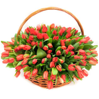 Цветы в корзинке «Красные тюльпаны»